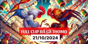 Clip HD đá gà Campuchia 88 ngày 21-10-2024