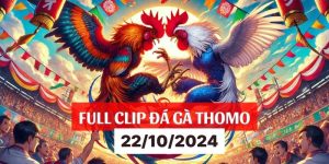 Clip HD đá gà Campuchia 88 ngày 22-10-2024