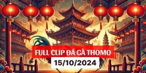 FULL CLIP ĐÁ GÀ THOMO 15 10 2024