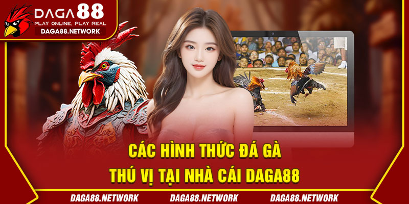 Các hình thức đá gà thú vị tại nhà cái DAGA88