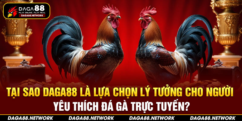 Tại sao Daga88 là lựa chọn lý tưởng cho người yêu thích đá gà trực tuyến?