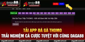 Tải App Đá Gà Thomo – Trải Nghiệm Cá Cược Tuyệt Vời Cùng Daga88