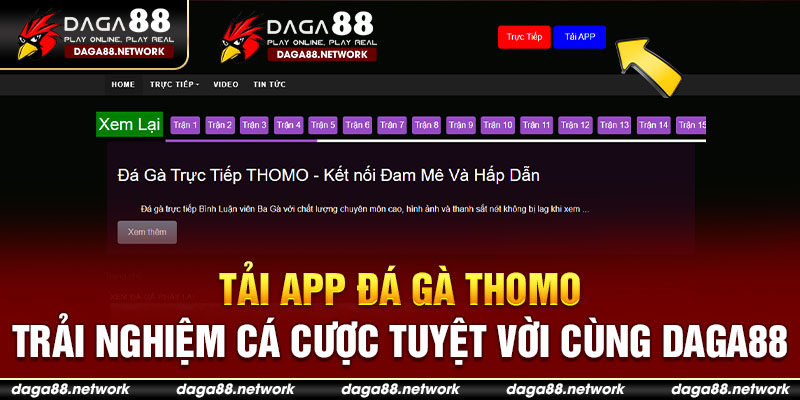 Tải App Đá Gà Thomo – Trải Nghiệm Cá Cược Tuyệt Vời Cùng Daga88