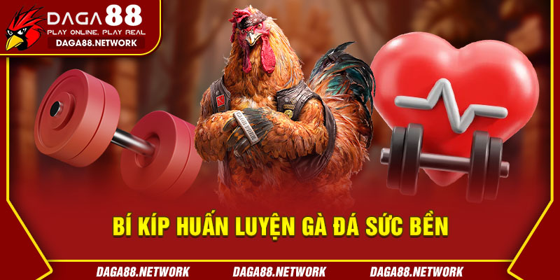 Bí Kíp Huấn Luyện Gà Đá Sức Bền