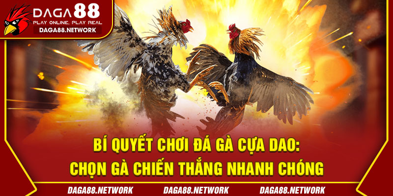 Bí Quyết Chơi Đá Gà Cựa Dao: Chọn Gà Chiến Thắng Nhanh Chóng