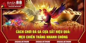 Cách Chơi Đá Gà Cựa Sắt Hiệu Quả: Mẹo Chiến Thắng Nhanh Chóng