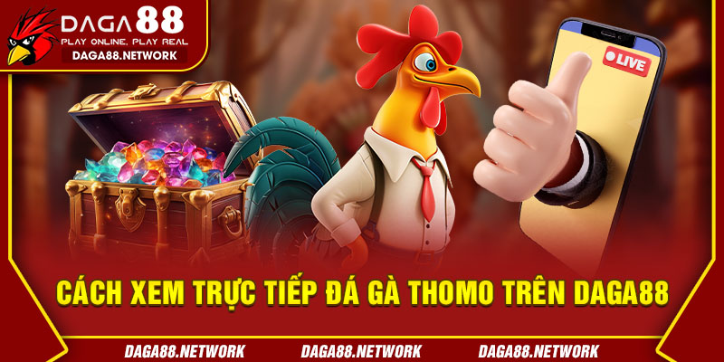 Cách Xem Trực Tiếp Đá Gà Thomo Trên Daga88