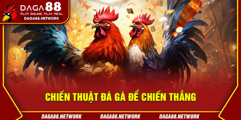 Chiến Thuật Đá Gà Để Chiến Thắng