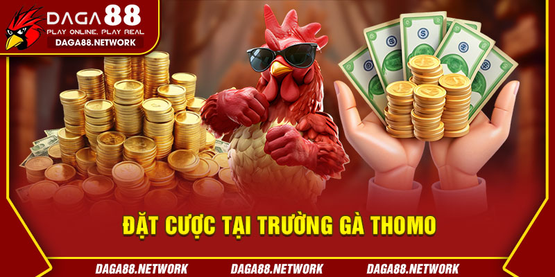 Đặt Cược Tại Trường Gà Thomo