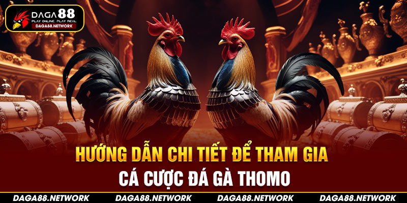 Đăng Nhập Daga88: Hướng Dẫn Chi Tiết Để Tham Gia Cá Cược Đá Gà Thomo