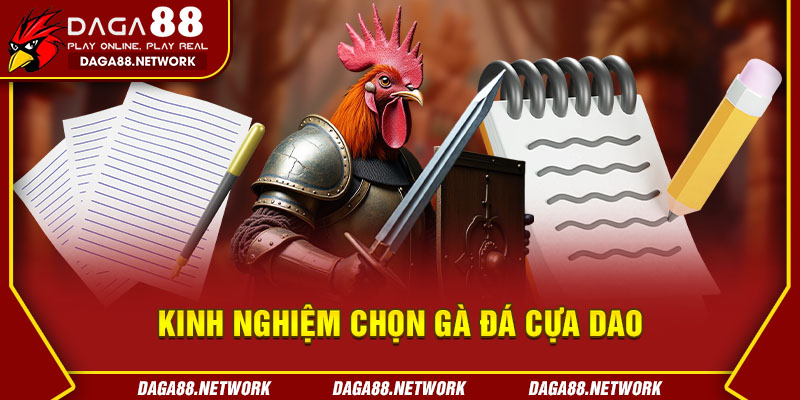 Kinh Nghiệm Chọn Gà Đá Cựa Dao