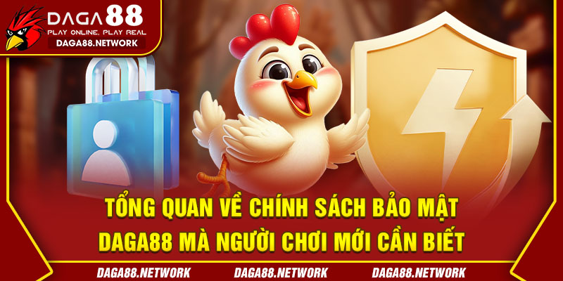 Tổng quan về chính sách bảo mật Daga88 mà người chơi mới cần biết