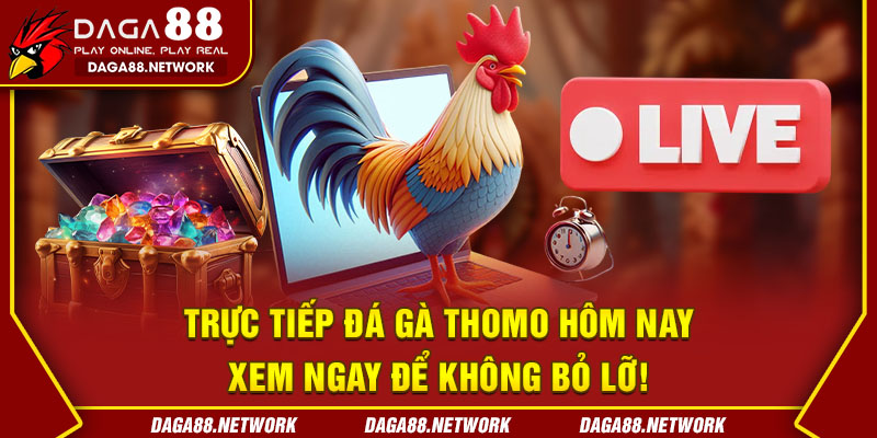 Trực Tiếp Đá Gà Thomo Hôm Nay - Xem Ngay Để Không Bỏ Lỡ!