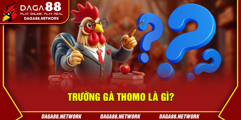 Trường Gà Thomo Là Gì?